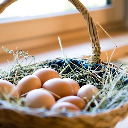Innertrein Cadipietra Ngoại thất bức ảnh